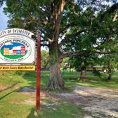 Pope Park