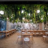 Verdure Kitchen & Cocktails