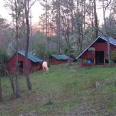 Ledford Property