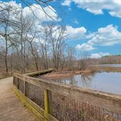 Doll’s Head Trail at Constitution Lakes