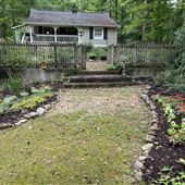circa 1920 Farmhouse in the Woods