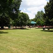 Thrasher Park