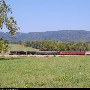 Northwest Georgia Train Tracks