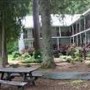 The York House Inn