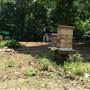 Lakewood Environmental Arts Foundation