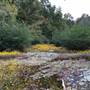 Blackwell Land