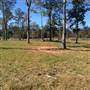 The Farm/Griffin GA
