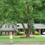 Samaria Trail Home and Yard