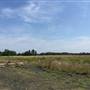 Train Tracks/Land Near Plant Branch (#2)