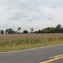 55 Open Land