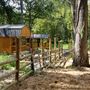 BK Ranch