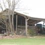 BCF Farm