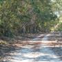 Purvis cotton path