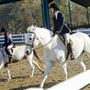 Wills Park Equestrian Center