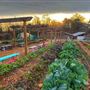 Old Rucker Farm & Park
