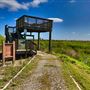 Altamaha Wildlife Management Area