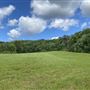 Brison Family Land