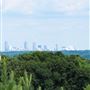 Basking Ridge, Skyline Views (from Cobb)