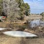 Lake Laurel Club