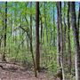 100 Acres of Country Land