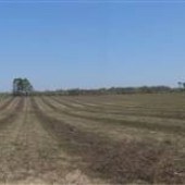 Hawkinsville Road