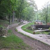 Duke Drive