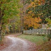 Yellow Mountain Ranch