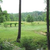 Dahlonega Mountain Farm
