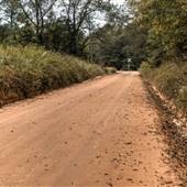 Dirt Road