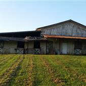 Ramsey  Farms
