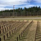 Cedar Lane Cemetery at Central State Hospital