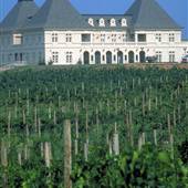 Chateau Elan