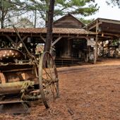 Redwine Farms