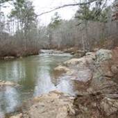 Line Creek Nature Area