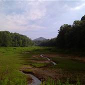 Rockridge Forest Preserve & Wildlife Refuge