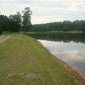 Bonds Lake
