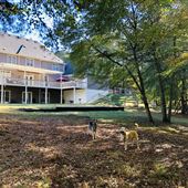 Powder Springs Farmhouse on 4 Acres