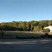 Carter Field