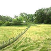 Dahlonega Homestead Farm