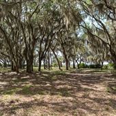 R.J. Reynolds WMA Hunt Camp