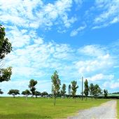 Paulk Park Campground