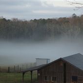 Chattahoochee Hills Pasture and Barn