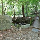Nature Garden at Stone Mountain Park