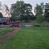 Mini farm