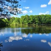 Freedom Lake
