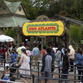 Zoo Atlanta