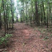 Buford/flowery branch property EXT ONLY