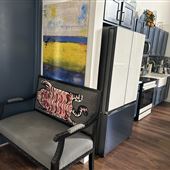 THE BLUE DOOR