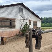 Alpha & Omega Farms - 60 Acres