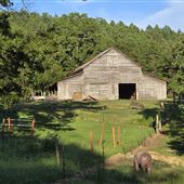 Patterson Home